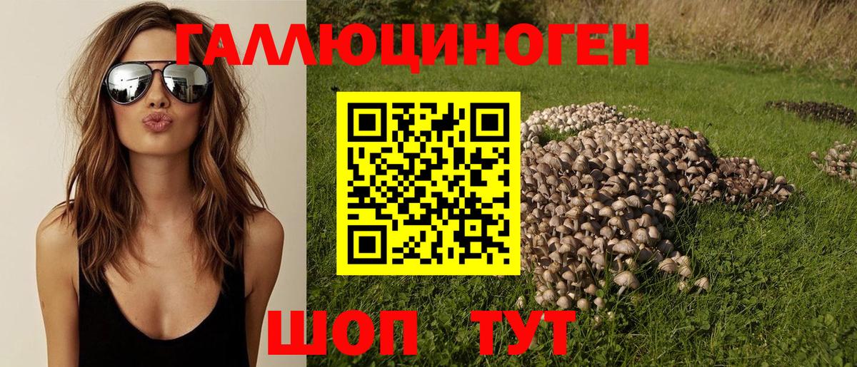 Галлюциногенные грибы Psilocybe Лангепас